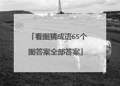 看图猜成语65个图答案全部答案