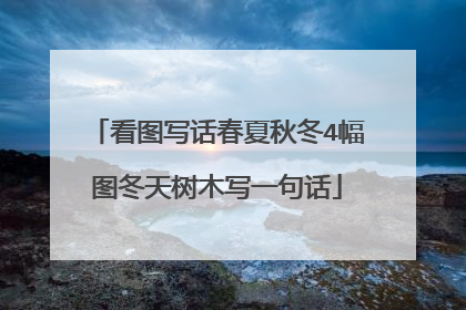 看图写话春夏秋冬4幅图冬天树木写一句话