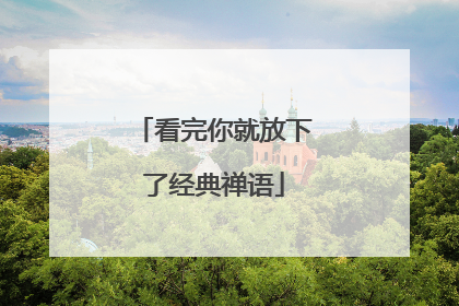 看完你就放下了经典禅语