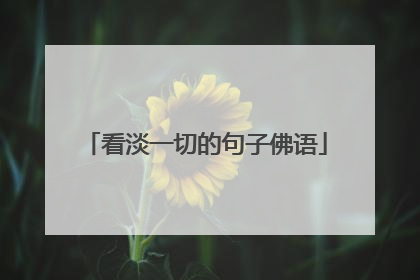 看淡一切的句子佛语