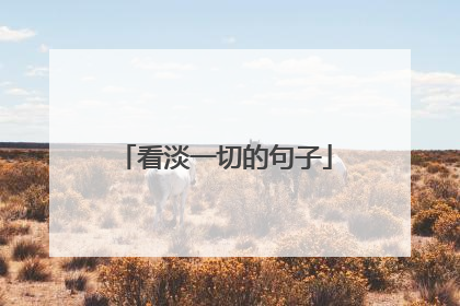 看淡一切的句子
