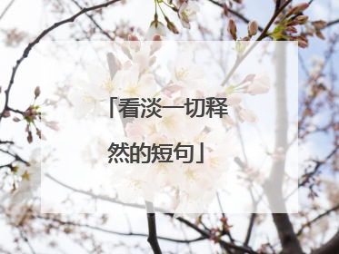 看淡一切释然的短句