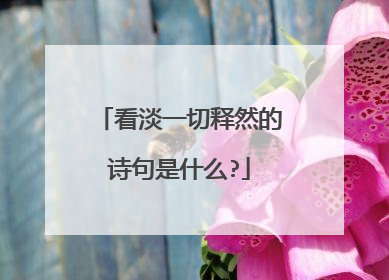看淡一切释然的诗句是什么?