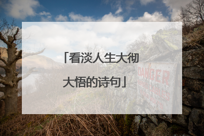 看淡人生大彻大悟的诗句