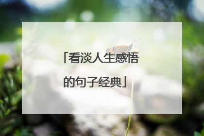看淡人生感悟的句子经典