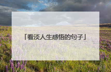 看淡人生感悟的句子