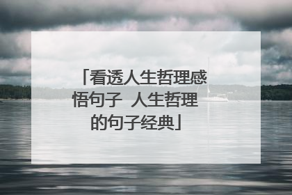 看透人生哲理感悟句子 人生哲理的句子经典