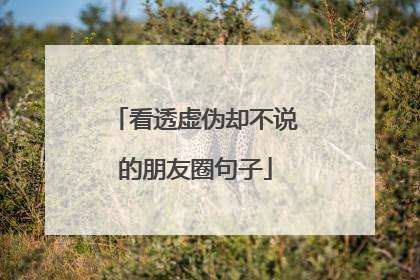 看透虚伪却不说的朋友圈句子