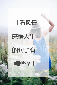 看风景感悟人生的句子有哪些？