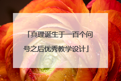 真理诞生于一百个问号之后优秀教学设计