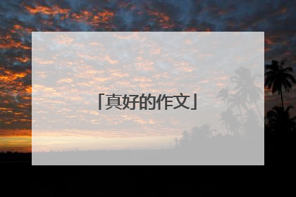 真好的作文