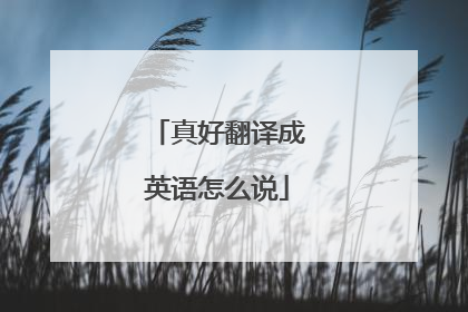 真好翻译成英语怎么说