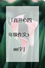 真开心四年级作文300字