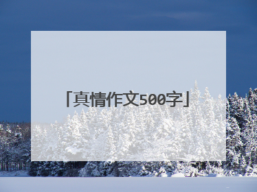 真情作文500字