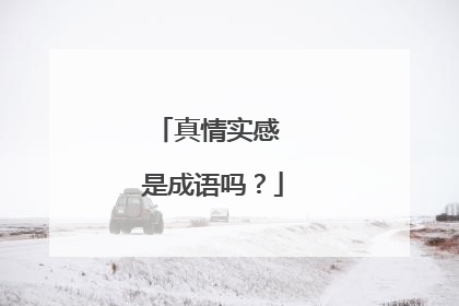 真情实感 是成语吗?