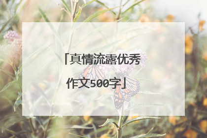 真情流露优秀作文500字