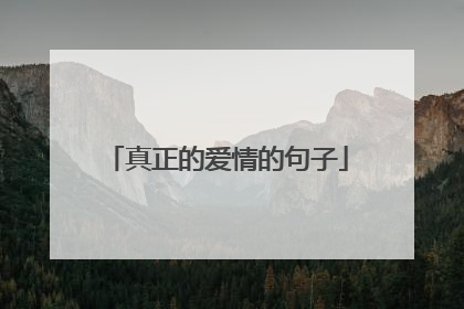 真正的爱情的句子