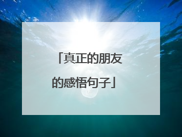 真正的朋友的感悟句子