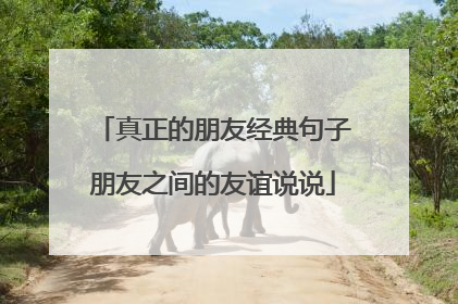 真正的朋友经典句子朋友之间的友谊说说