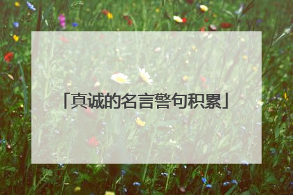 真诚的名言警句积累