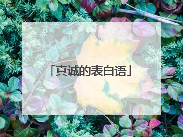 真诚的表白语