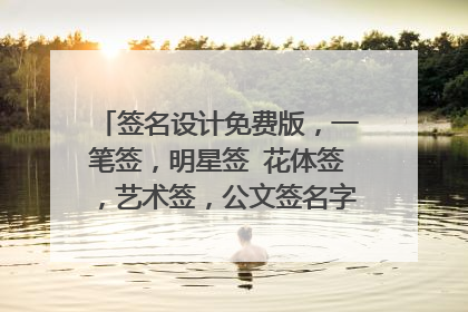 签名设计免费版,一笔签,明星签 花体签,艺术签,公文签名字:赵明亮。谢谢