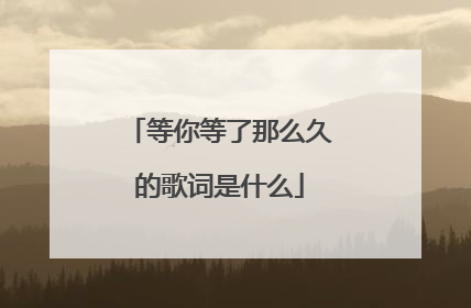 等你等了那么久的歌词是什么