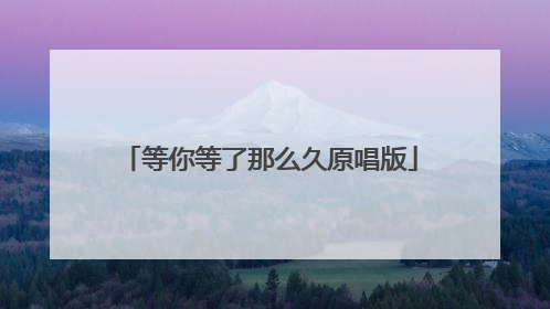 等你等了那么久原唱版