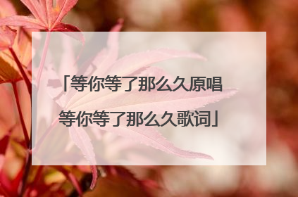 等你等了那么久原唱 等你等了那么久歌词