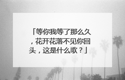 等你我等了那么久，花开花落不见你回头，这是什么歌？