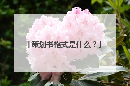 策划书格式是什么？
