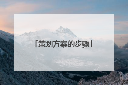策划方案的步骤