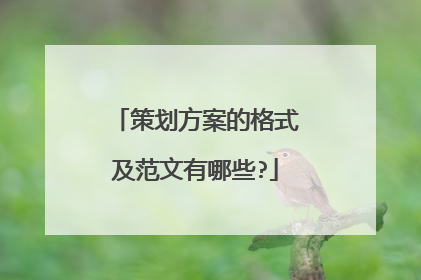 策划方案的格式及范文有哪些?