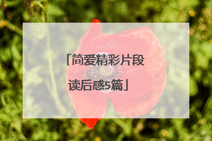 简爱精彩片段读后感5篇