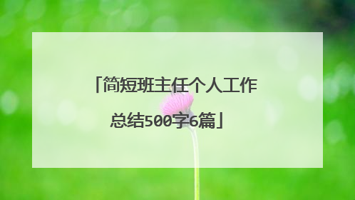 简短班主任个人工作总结500字6篇