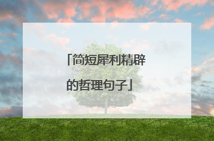 简短犀利精辟的哲理句子