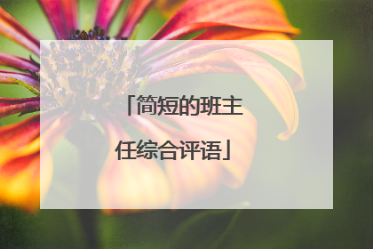 简短的班主任综合评语