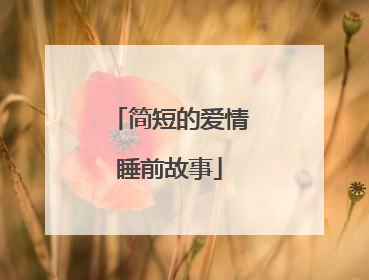 简短的爱情睡前故事