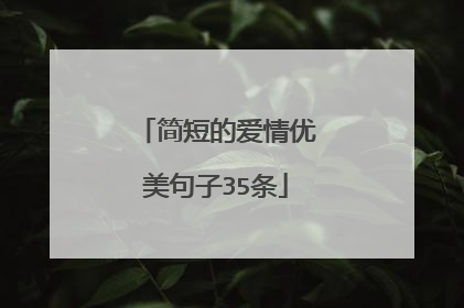 简短的爱情优美句子35条