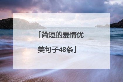 简短的爱情优美句子48条