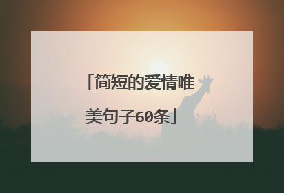 简短的爱情唯美句子60条