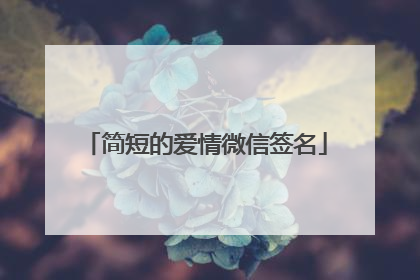 简短的爱情微信签名