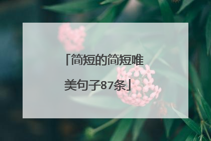 简短的简短唯美句子87条