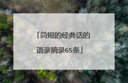 简短的经典话的语录摘录65条