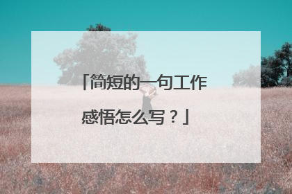 简短的一句工作感悟怎么写?