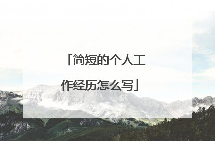 简短的个人工作经历怎么写