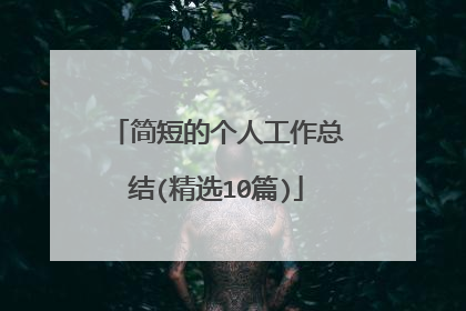 简短的个人工作总结(精选10篇)
