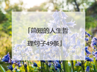简短的人生哲理句子49条