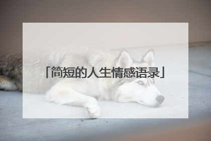 简短的人生情感语录