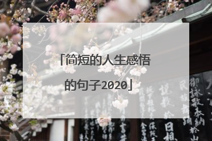 简短的人生感悟的句子2020